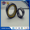 Hot Selling Roller Bearing Single Row Bearing (NU207)